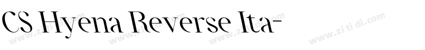 CS Hyena Reverse Ita字体转换 CS Hyena Reverse Ita字体转换